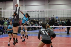 alexis-keith-volleyball-003