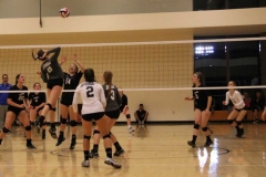 alexis-keith-volleyball-005
