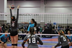 alexis-keith-volleyball-008