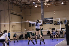 alexis-keith-volleyball-010