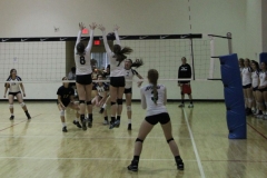 alexis-keith-volleyball-024
