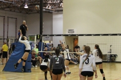 alexis-keith-volleyball-025