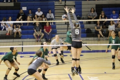 alexis-keith-volleyball-027