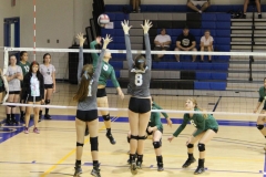 alexis-keith-volleyball-029