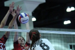 alexis-keith-volleyball-037
