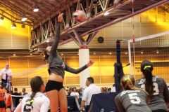alexis-keith-volleyball-040